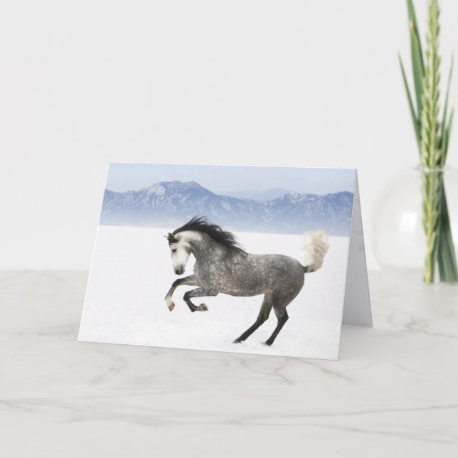 Snowy Romp Horse Greeting Card (Front)