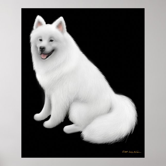 Snowy Samoyed Dog Print (Front)