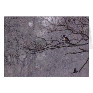 Snowy Scene Cards