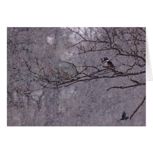 Snowy Scene Cards (Front Horizontal)