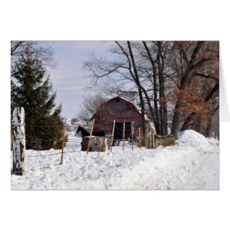 Amish Christmas Cards - Greeting &amp; Photo Cards | Zazzle