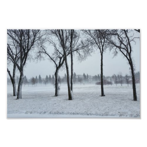 Snowy Scene Photo Print