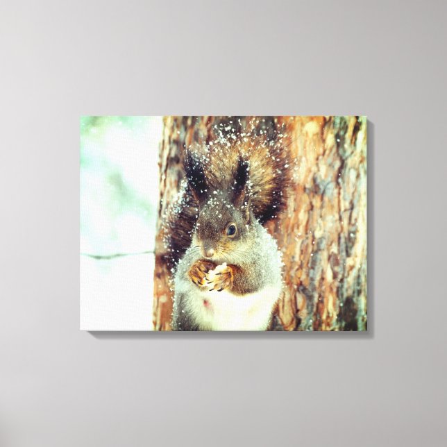 Snowy Squirrel Canvas Print (Front)