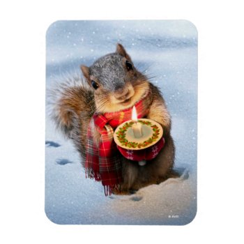 Snowy Squirrel Holding Candle Magnet by AvantiPress at Zazzle