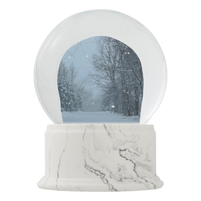 Snowy Street Snow Globe (Front)