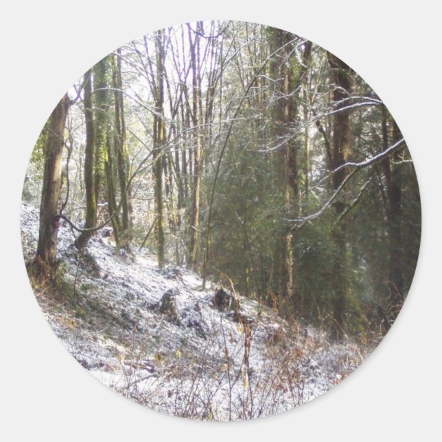 Snowy Sunlit Forest Glade Classic Round Sticker (Front)