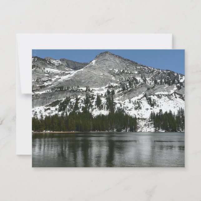 Snowy Tenaya Lake Yosemite National Park Photo (Front)