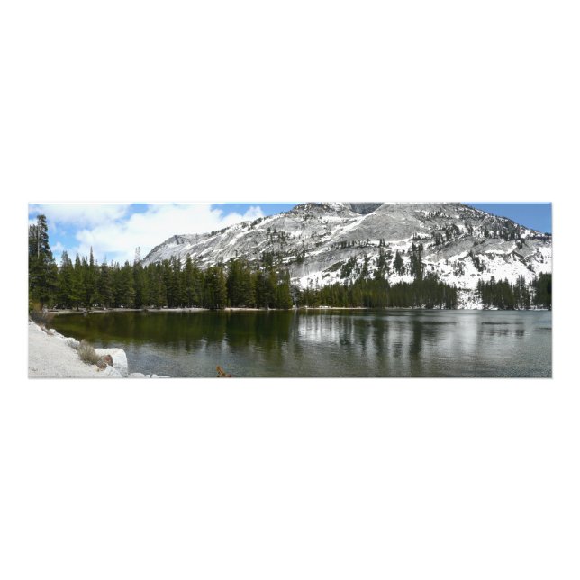 Snowy Tenaya Lake Yosemite National Park Photo (Front)