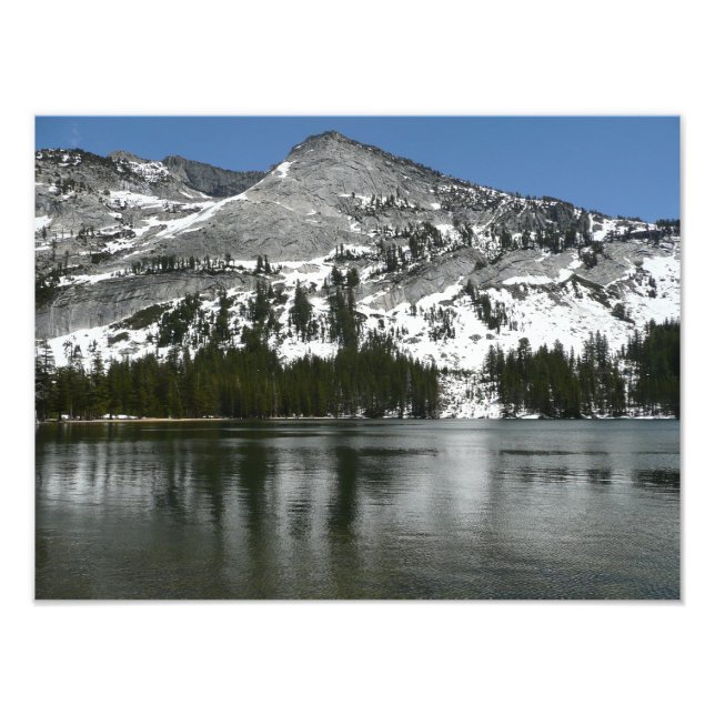 Snowy Tenaya Lake Yosemite National Park Photo (Front)