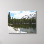 Snowy Tenaya Lake Yosemite National Park Photo Canvas Print