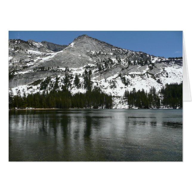 Snowy Tenaya Lake Yosemite National Park Photo Card (Front Horizontal)