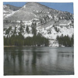 Snowy Tenaya Lake Yosemite National Park Photo Cloth Napkin