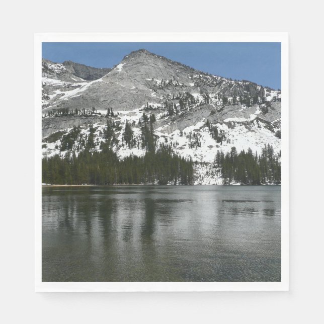 Snowy Tenaya Lake Yosemite National Park Photo Paper Napkins (Front)