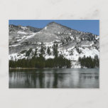 Snowy Tenaya Lake Yosemite National Park Photo Postcard