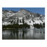 Snowy Tenaya Lake Yosemite National Park Photo Poster