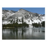 Snowy Tenaya Lake Yosemite National Park Photo Print