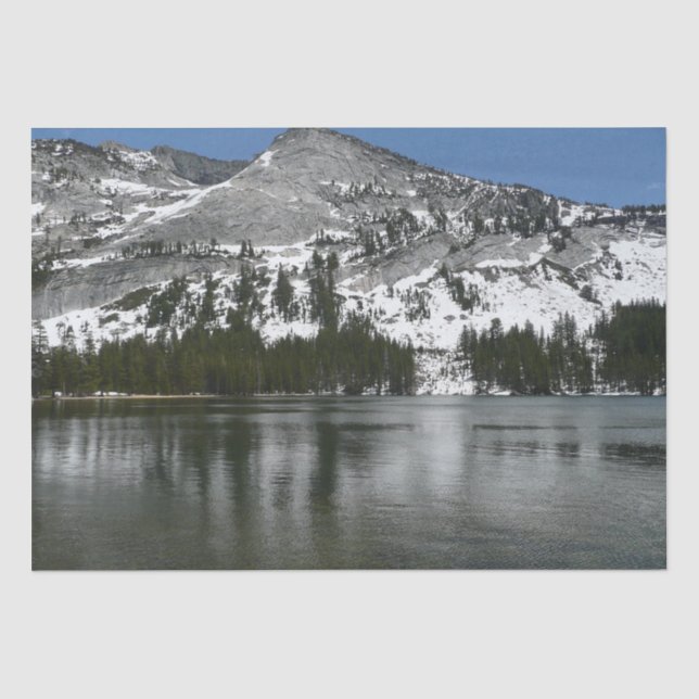Snowy Tenaya Lake Yosemite National Park Photo Tissue Paper (Front)