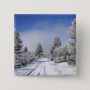 Snowy Track And Pine Trees  Cambrians  Near St Button by OneWithNature at Zazzle