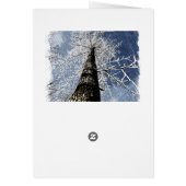 Snowy Tree Cards (Back)