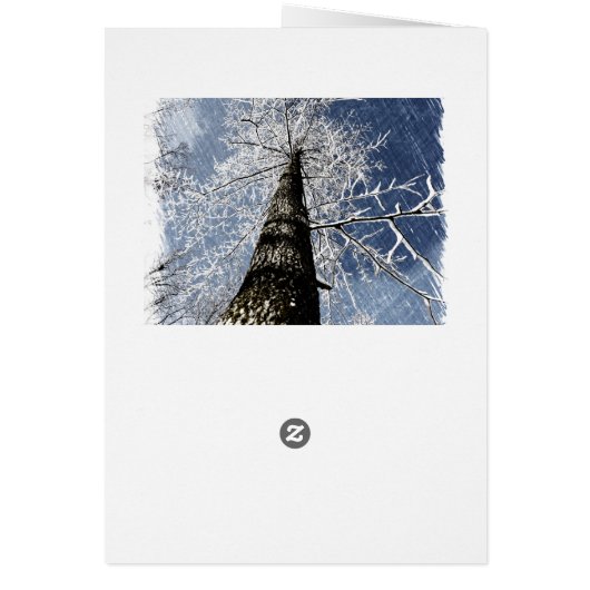 Snowy Tree Cards (Back)