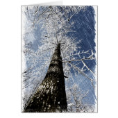 Snowy Tree Cards (Front)