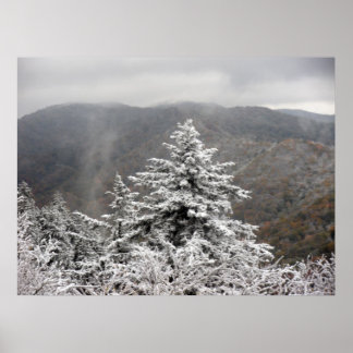 Snowy Tree Poster