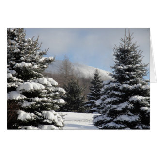 snowy tree scene cards