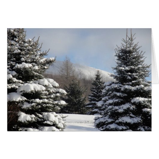 snowy tree scene cards (Front Horizontal)