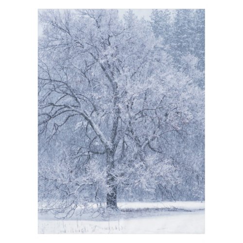 Snowy Tree Winter Frozen Scene Tablecloth