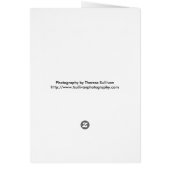 Snowy Trees (Blank) Cards (Back)