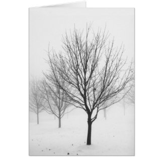 Snowy Trees (Blank) Cards