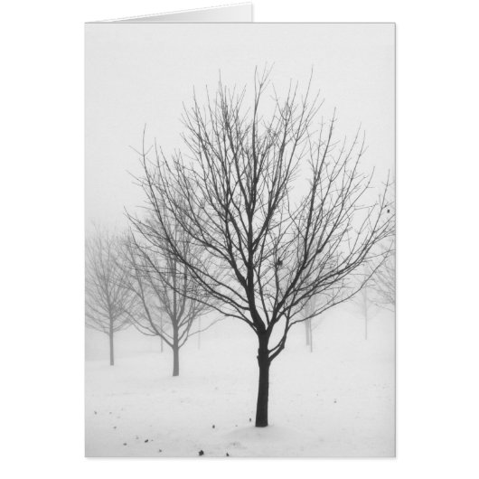 Snowy Trees (Blank) Cards (Front)