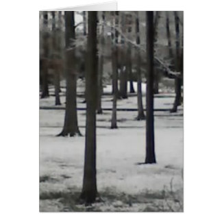 Snowy Trees Cards