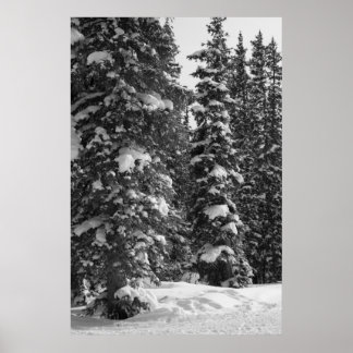 Snowy Trees Christmas Landscape Nature Poster