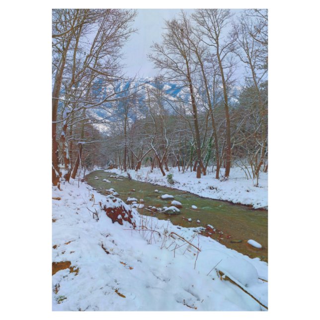 Snowy Trees Creek Forest Mountain Winter Scene Tablecloth (Front)