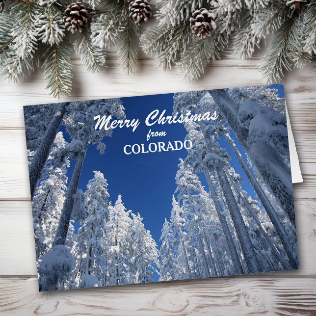 Snowy Trees from Colorado Christmas Card (Creator Uploaded)
