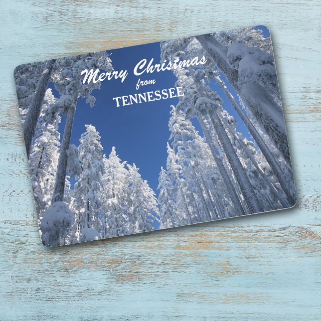 Snowy Trees from Tennessee Photo Template (Creator Uploaded)
