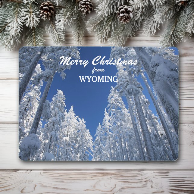 Snowy Trees from Wyoming Photo Template (Creator Uploaded)