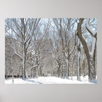 Snowy trees in Central Park Poster