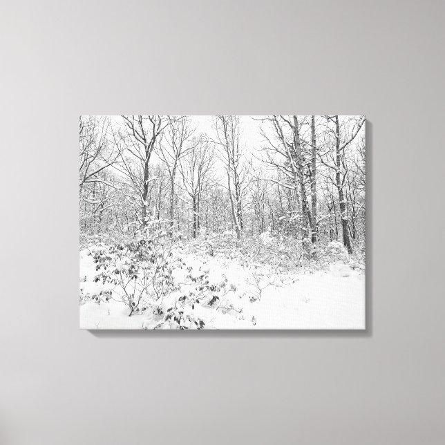 Snowy Trees in the Poconos Canvas Print (Front)