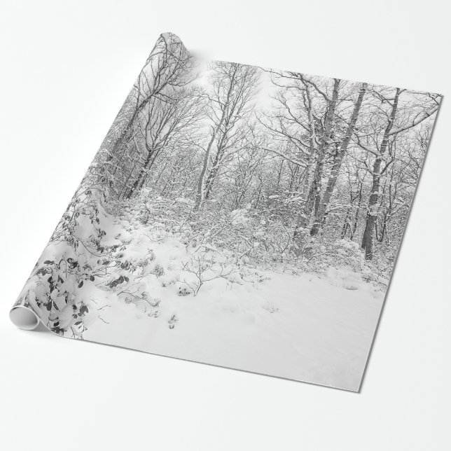 Snowy Trees in the Poconos Wrapping Paper (Unrolled)