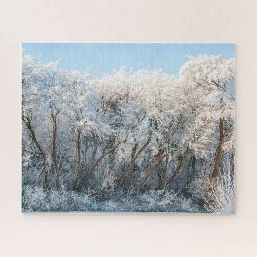 Snowy Trees Photography 520 pieces Jigsaw Puzzle