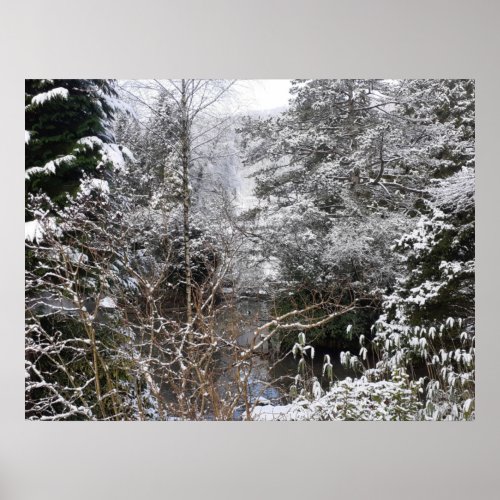 Snowy Trees Poster