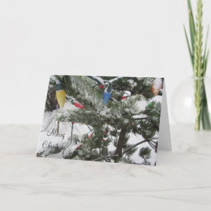 Snowy Trees with Christmas Lights Holiday Card
