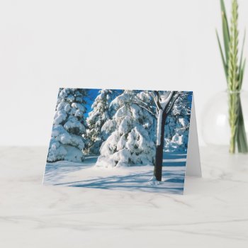 Snowy Trees Xmas Holiday Business Blank Christmas by HolidayPostage at Zazzle