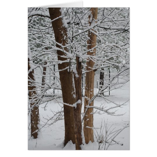 snowy trunks card