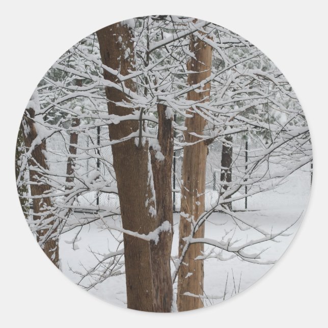 snowy trunks classic round sticker (Front)