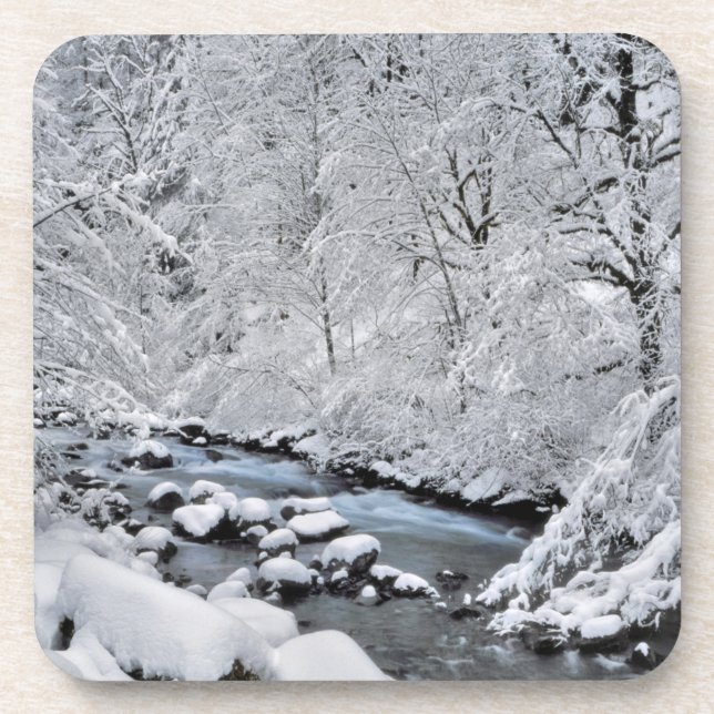 Snowy white creek scenic, Oregon Beverage Coaster (Front)