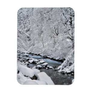 Snowy white creek scenic, Oregon Magnet