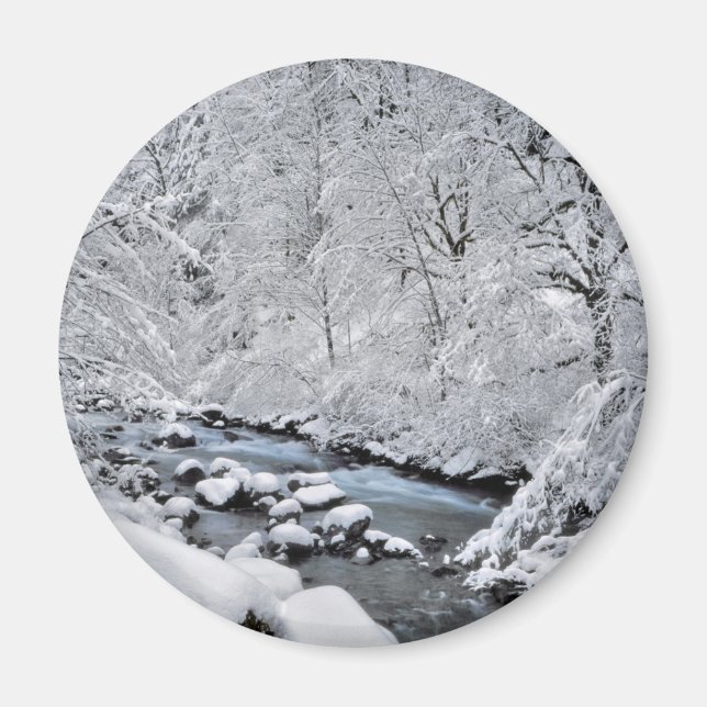 Snowy white creek scenic, Oregon Magnet (Front)
